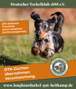 Gesunde Rassehundezucht im DTK
DTK Züchter übernehmen Verantwortung